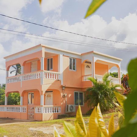 Hotel Happy Nest Dominica Marigot Exterior foto