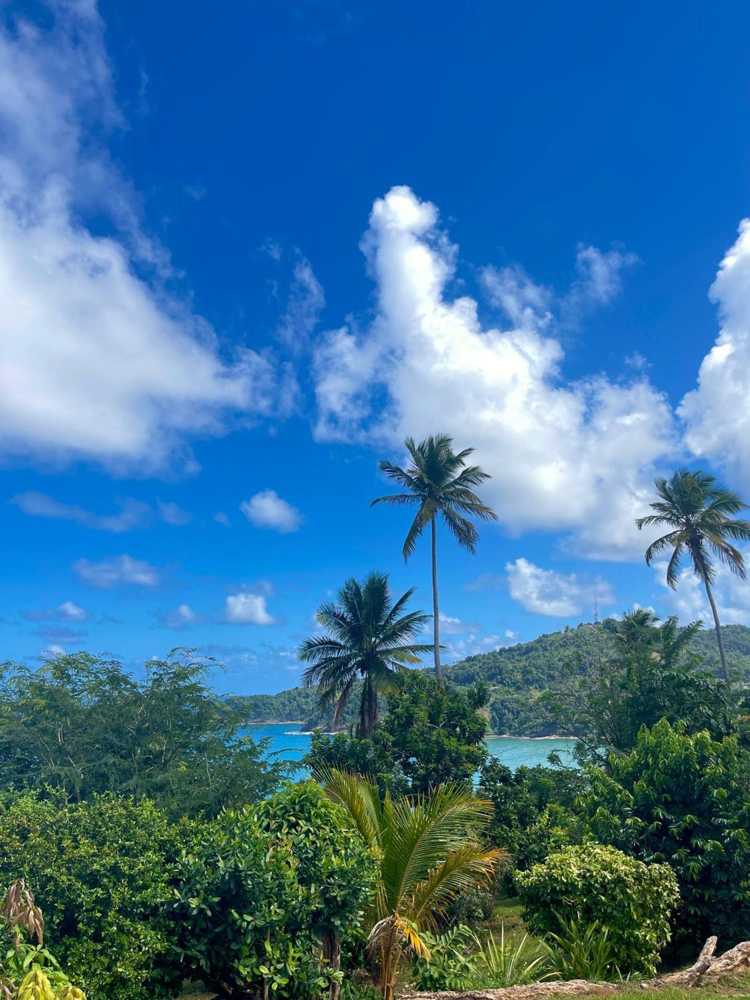 Hotel Happy Nest Dominica Marigot Exterior foto